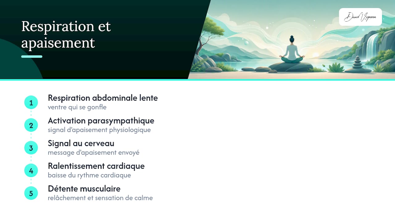 Effet relaxant de la respiration lente